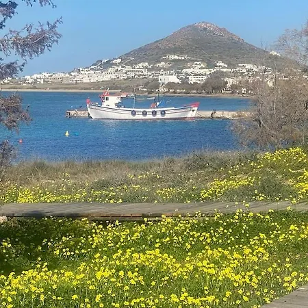 2 Naxos *